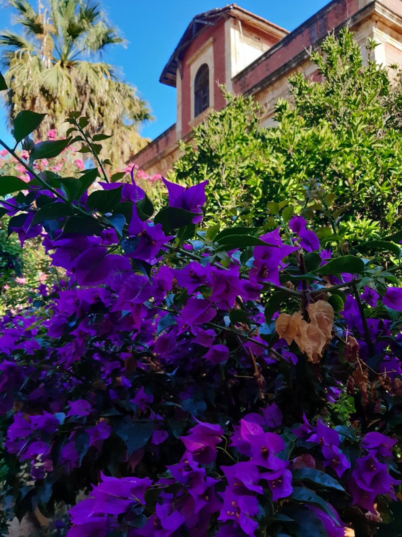 Avgi Garden House Chania With Private Entrance Dış mekan fotoğraf