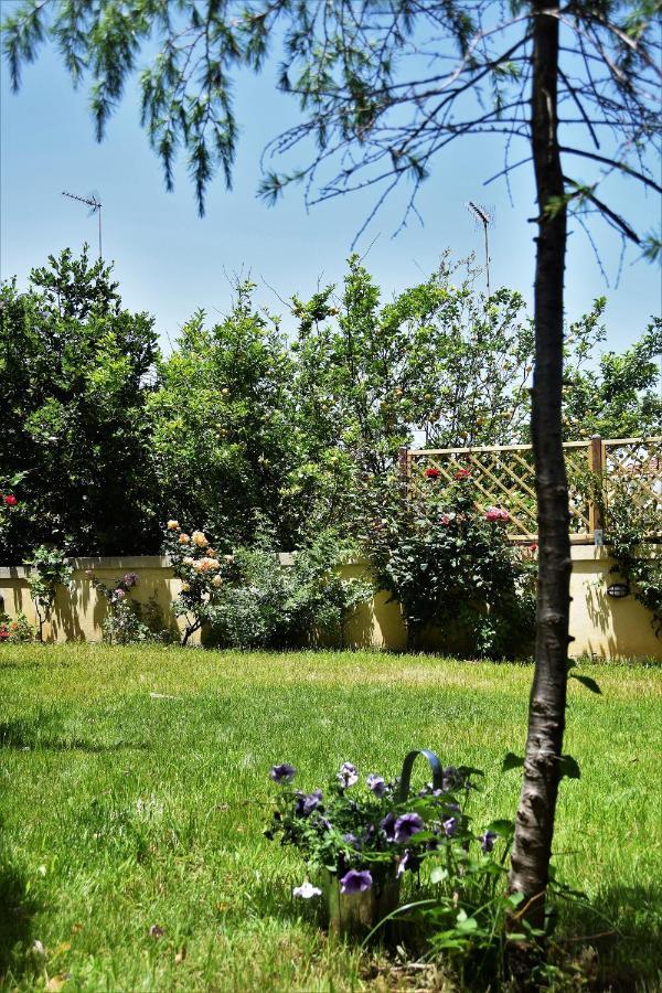 Avgi Garden House Chania With Private Entrance Dış mekan fotoğraf